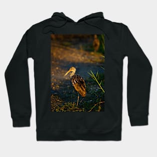 Limpkin Hoodie